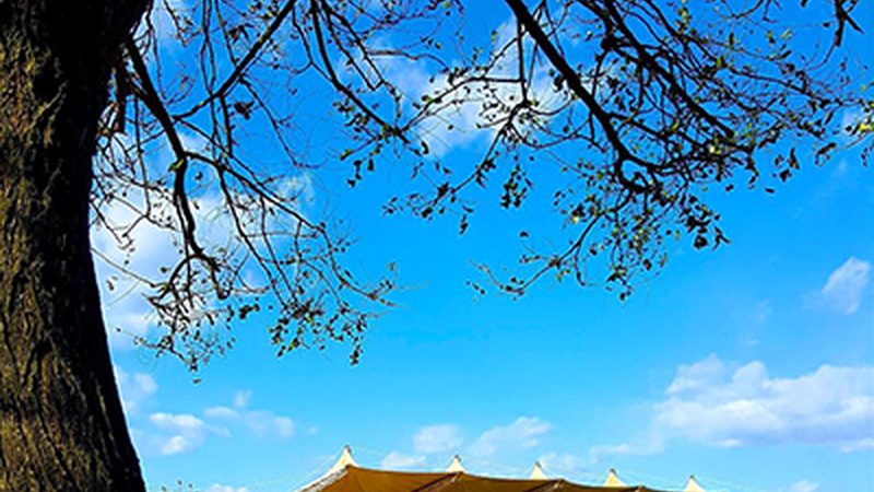 电子办公设备采购：如何规避规格误区，确保高效办公**