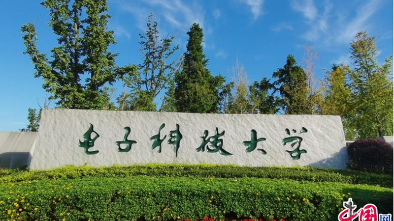 连接器批发价格：揭秘影响价格的关键因素