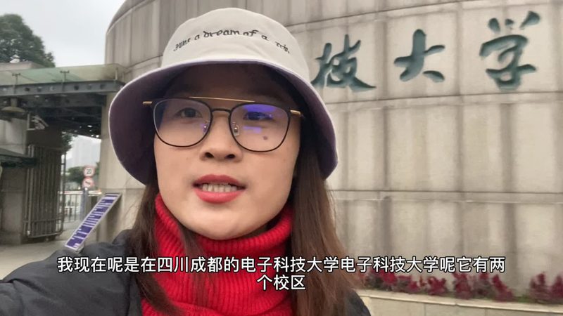 国产物联网芯片：揭秘其发展脉络与选型要点